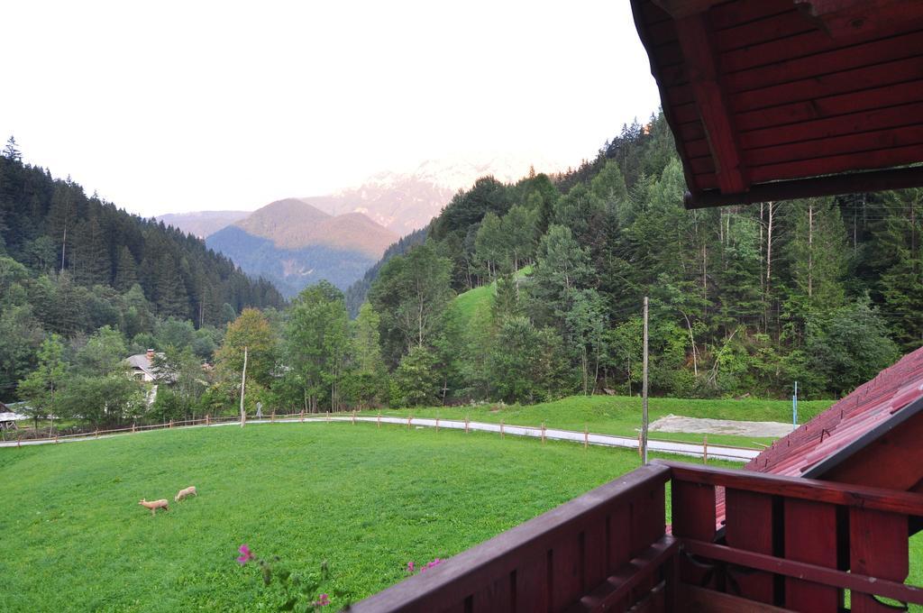 Na Logu - Farm Stay Ambroz Gregorc Solcava Room photo